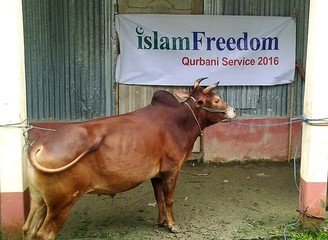 Islam Freedom Qurbani
