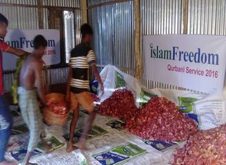 Islam Freedom Qurbani