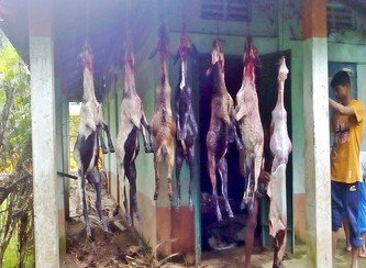 Islam Freedom Qurbani 2017