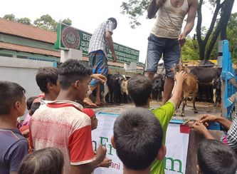 Islam Freedom Qurbani