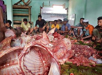 Islam Freedom Qurbani