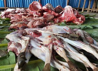 Islam Freedom Qurbani