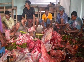 Islam Freedom Qurbani