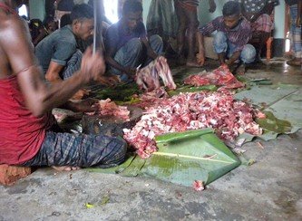 Islam Freedom Qurbani