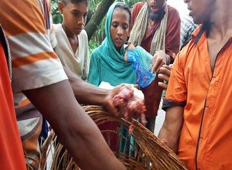 Islam Freedom Qurbani