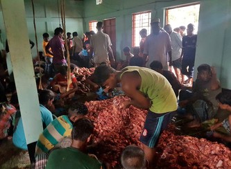 Islam Freedom Qurbani