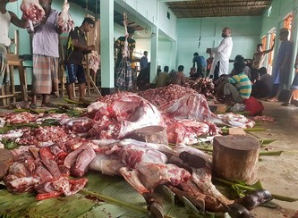Islam Freedom Qurbani 2017